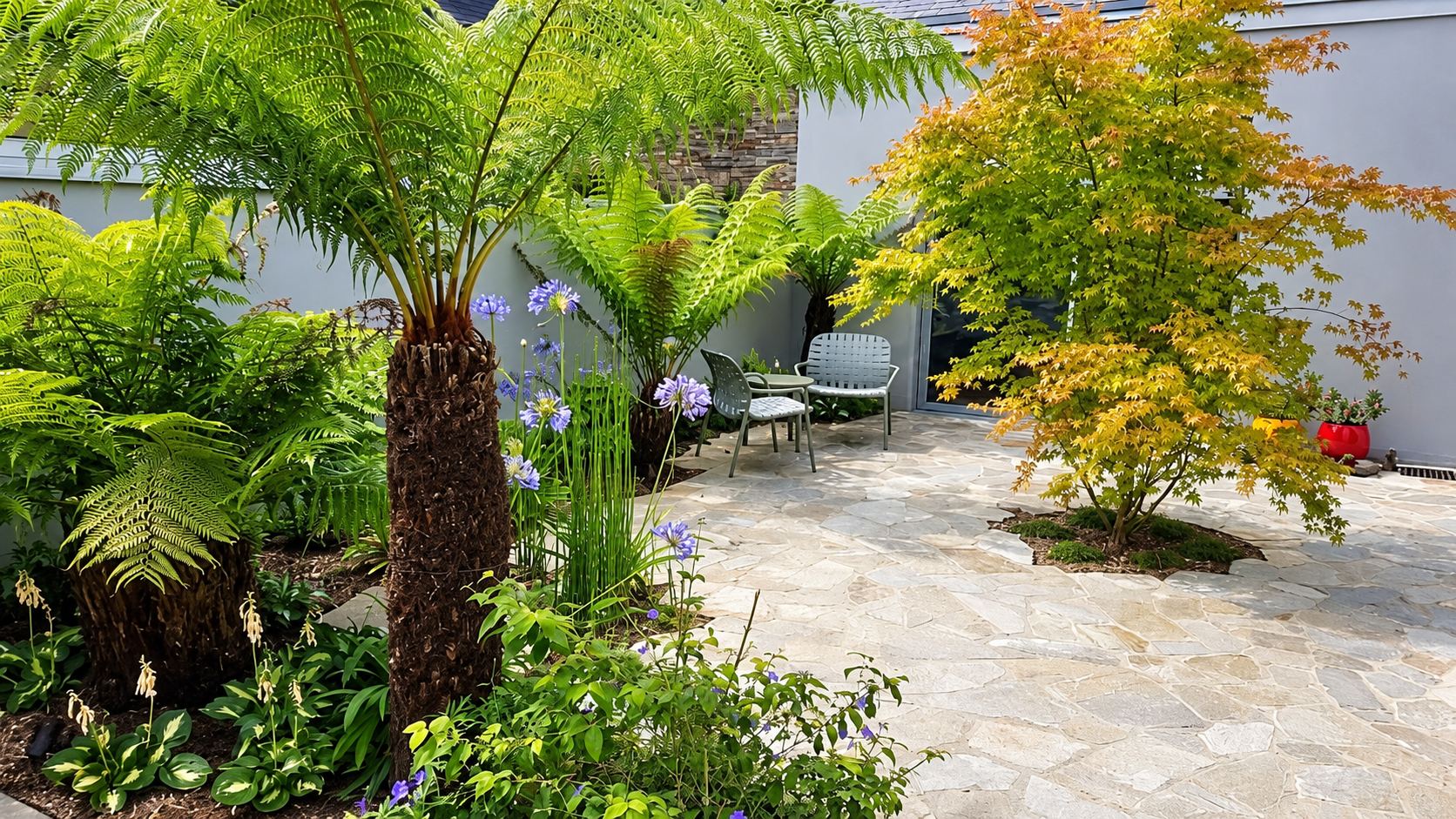 Jardin à Nantes après aménagement : fougère arborescente, érable japonais et terrasse en dallage