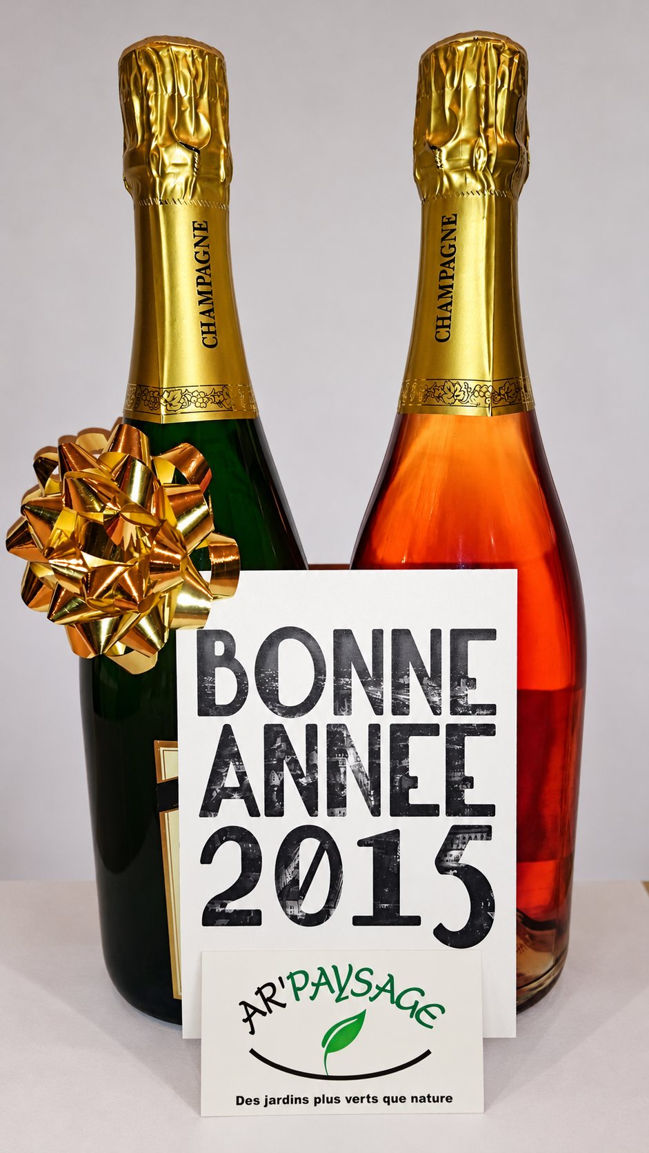 Bonne année 2015 : photo 1