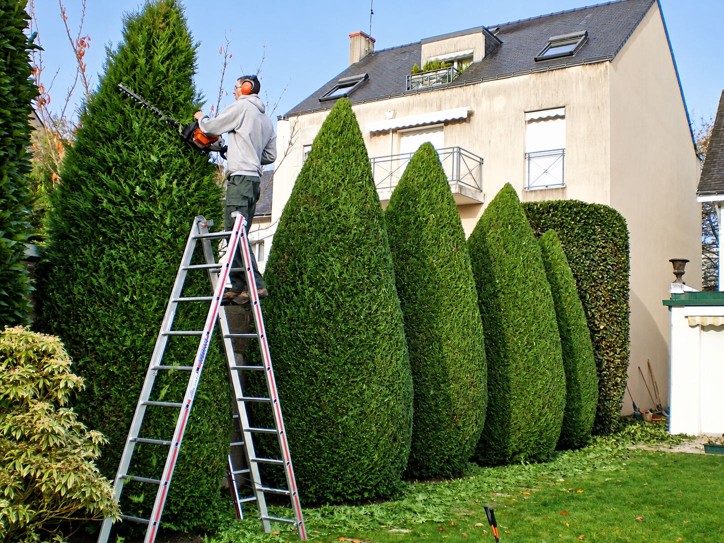 Taille hivernale : photo 1